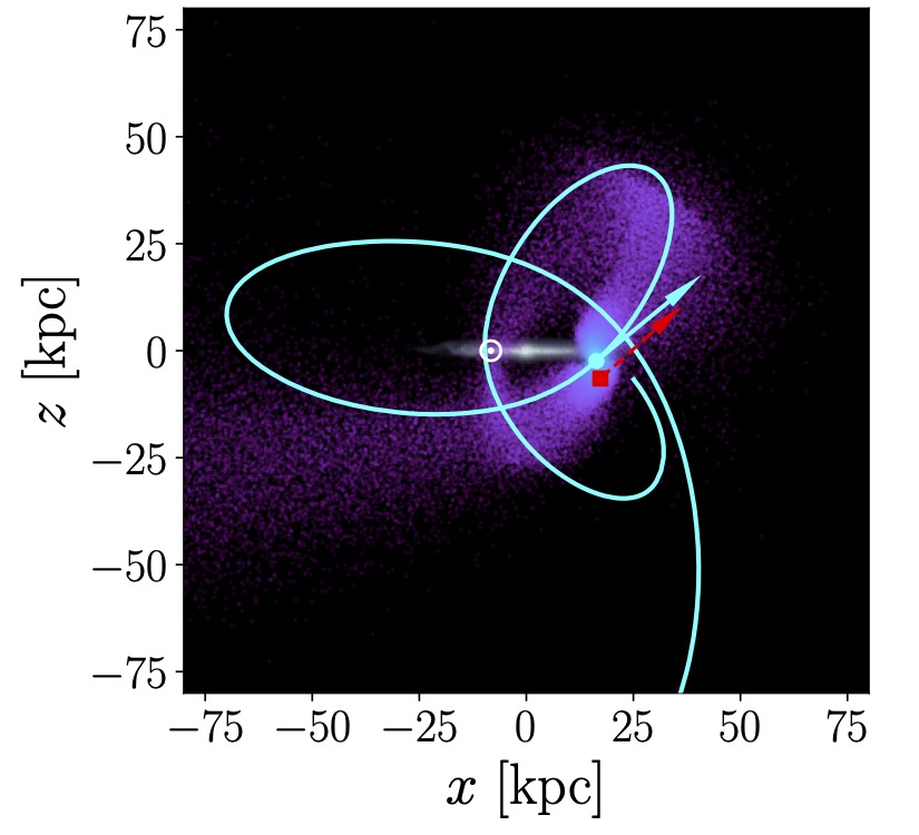 Edge on view of the perturbed Galactic disk